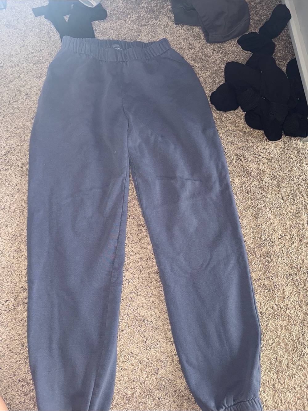 Brandy Melville John Galt Navy Blue Fleece Jogger Pants